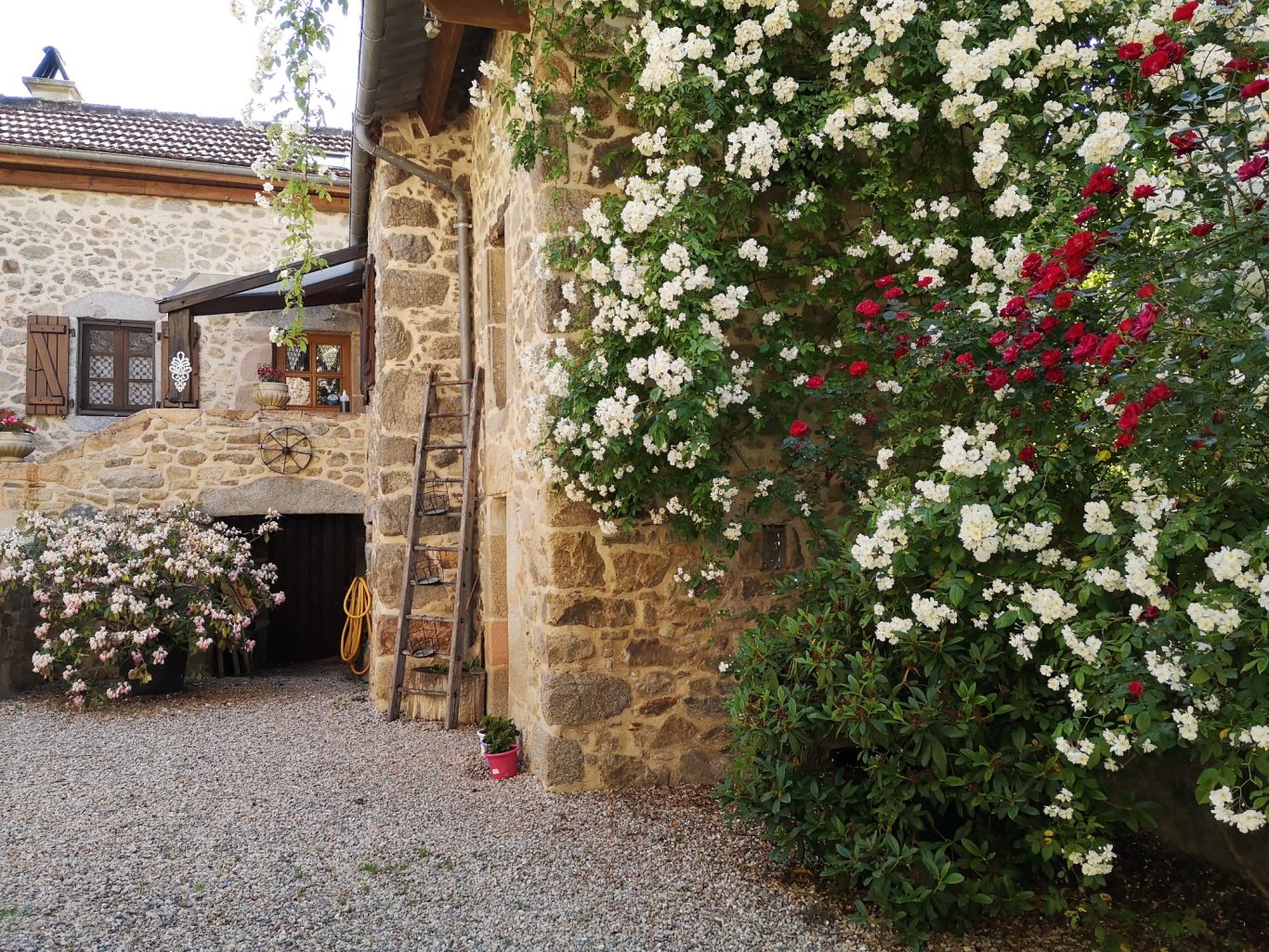 La cour du gîte La cour du gîte